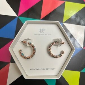 Elegant Rose Gold Hoop Earrings